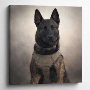 Belgian Malinois -K9 Dog Canvas Wall Art-16x16
Neutral Colors-Office-Home